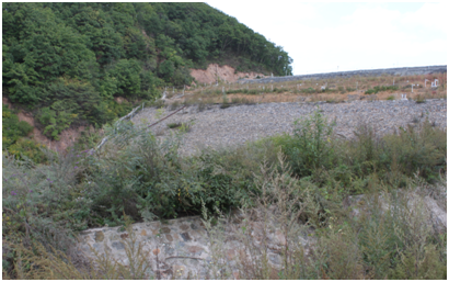 自動化監(jiān)測 自動化監(jiān)測